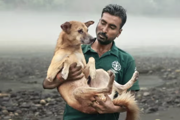 Nikhil निखिल  - Father, Grandfather, Dog Rescuer