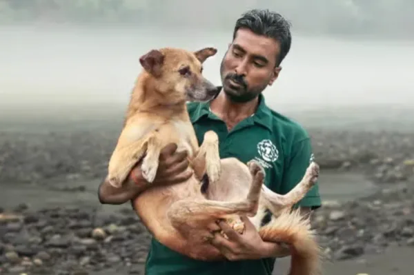 Nikhil निखिल  - Father, Grandfather, Dog Rescuer