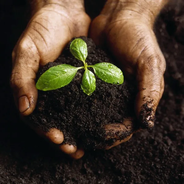 Growth = Seeds / Weeds