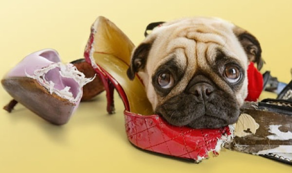 Ethics = Responsibility / Morality